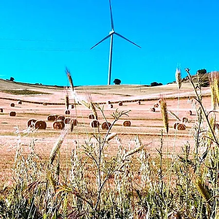 فندق مبيت وإفطار Oikia 3*